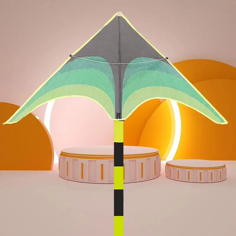 

Rainbow Color Triangle Kite Long Tail Polyester Outdoor Kites Flying Toys For Children Stunt Surf Kite With Control Bar And Line
