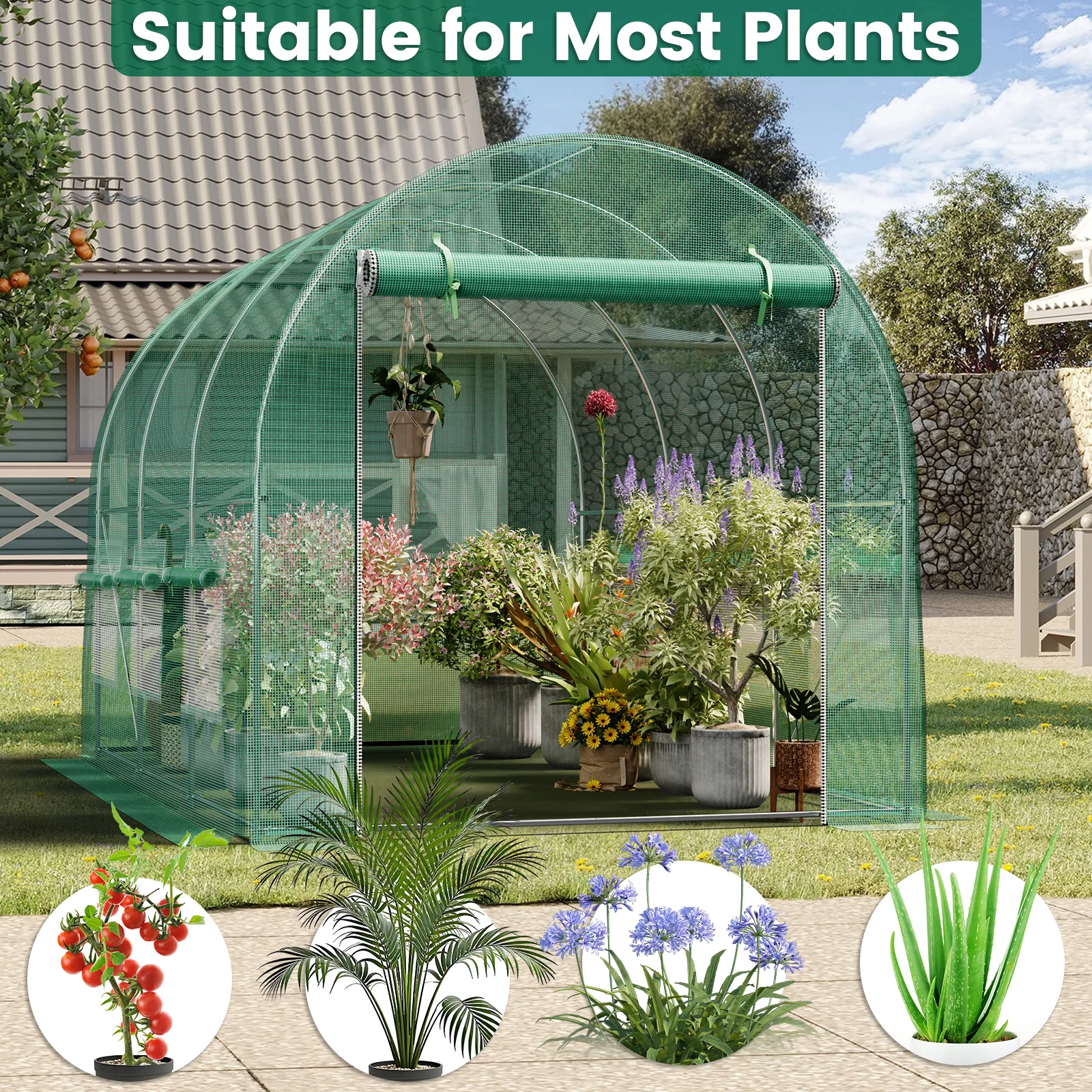 Large Walk-In Greenhouse 4