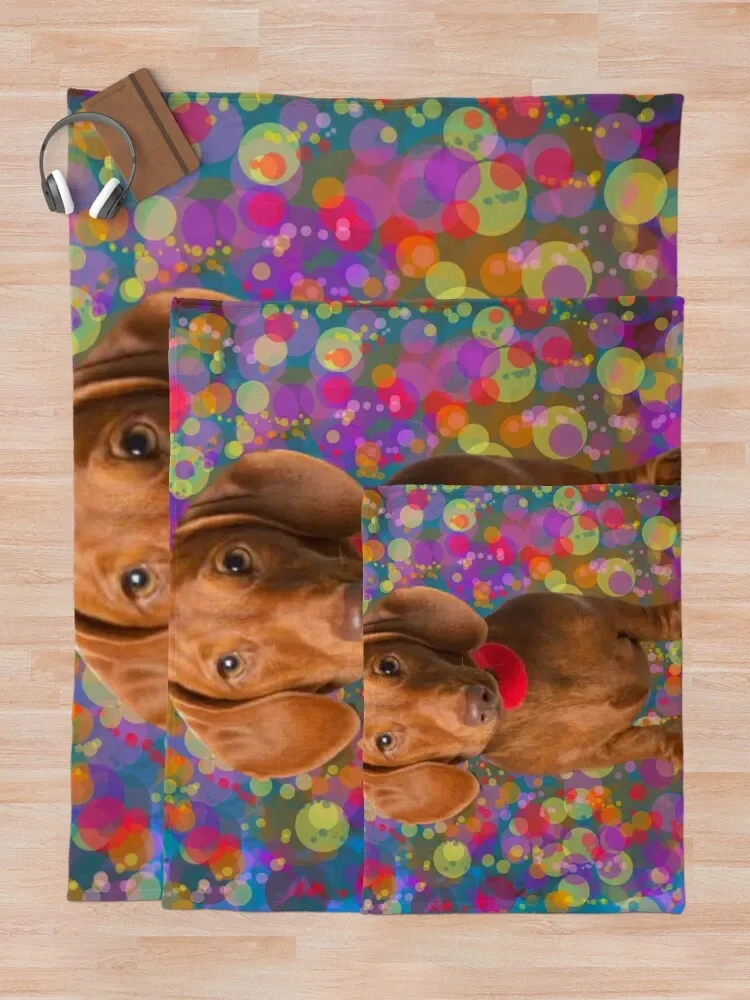 Ȱ���� �ڽ���Ʈ ������ ���, �ε巯�� ħ�� ����, �̺� ����, �ڽ����� ������, �ִϸ��̼� ���