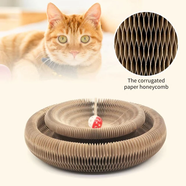 Brinquedo mágico para gato com bola de sino, placa de arranhões