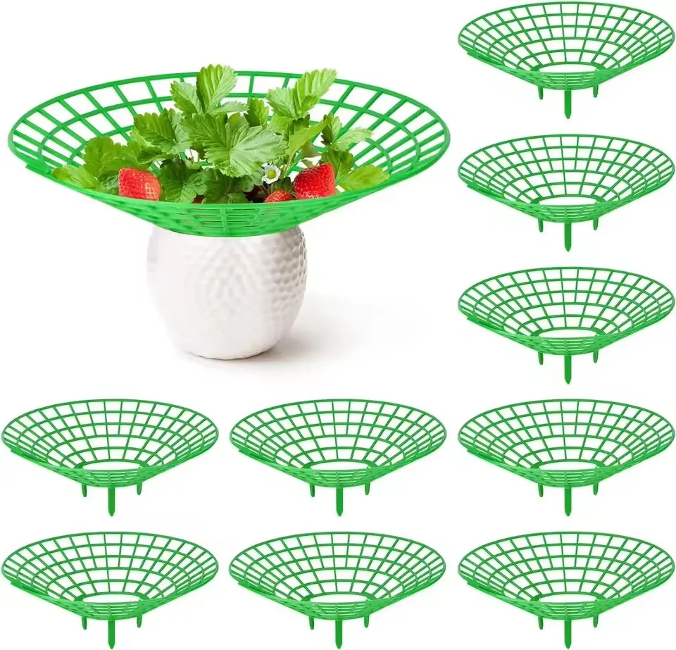 5/10Pcs Strawberry Plant Supports with 3 Sturdy Legs Strawberry Growing Racks Protector Frame Holder Cage From Mold Rot Dirt