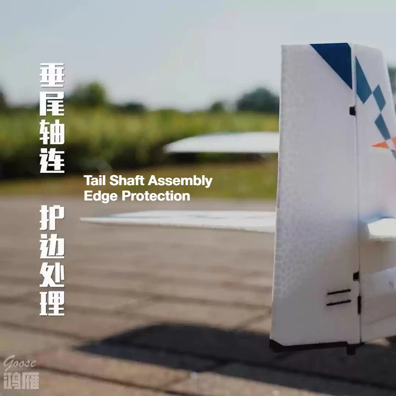 새로운 ESKY 와일드 구스 고정익 비행 제어 에디션 원격 조종 모델 FPV 초보자 가이드, 배우기 쉽고 비행하기 쉬운 모델 PNP