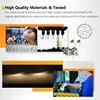 Philips 2PCS Vision H11 12V 55W PGJ19-2 Original Car Halogen Head Lamps 3200K Standard Auto Replace Genuine Bulbs 12362, Pair 5