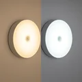 2 Colors with Switch