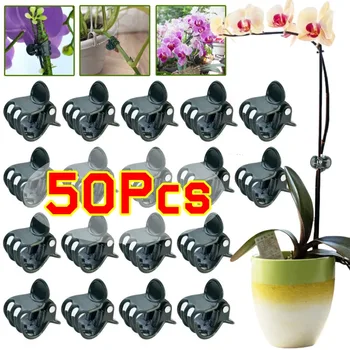 Dark Green 6-Claw Plant Clips 10-50Pcs Bundle Branch Climbing Stem Clasp Tied Orchid Flowers Support Clamps Plant Accessories