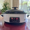 220V Massage Stone Heater Stress Back Pain Relief Health Care Lava Basalt Massage Stone Heating for Beauty Salon SPA Center 2