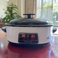 220V Massage Stone Heater Stress Back Pain Relief Health Care Lava Basalt Massage Stone Heating for Beauty Salon SPA Center 2