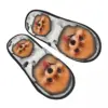Custom Cute Pomeranian Dog In A Hole Soft Scuff Memory Foam Slippers Women Spitz Puppy Hotel House Shoes 1
