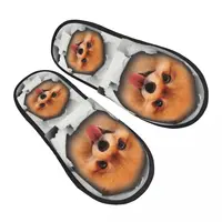 Custom Cute Pomeranian Dog In A Hole Soft Scuff Memory Foam Slippers Women Spitz Puppy Hotel House Shoes 1