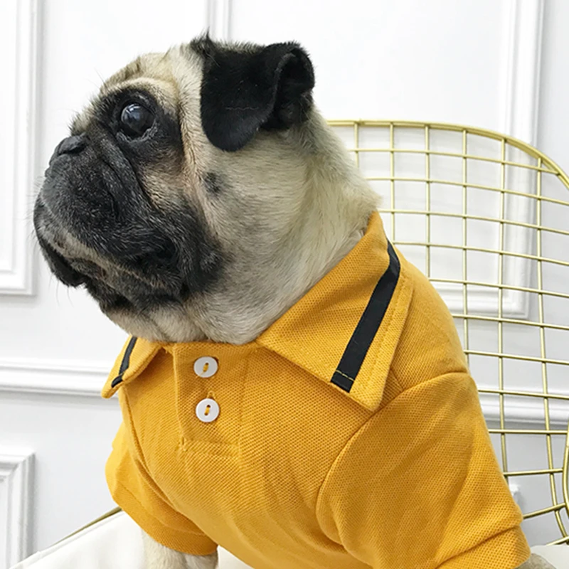 Abierto Arrastrarse marca Polo para perro, ropa de verano para perro, ropa informal para perros/Pug/tienda  MPK|Camisetas de perro| - AliExpress