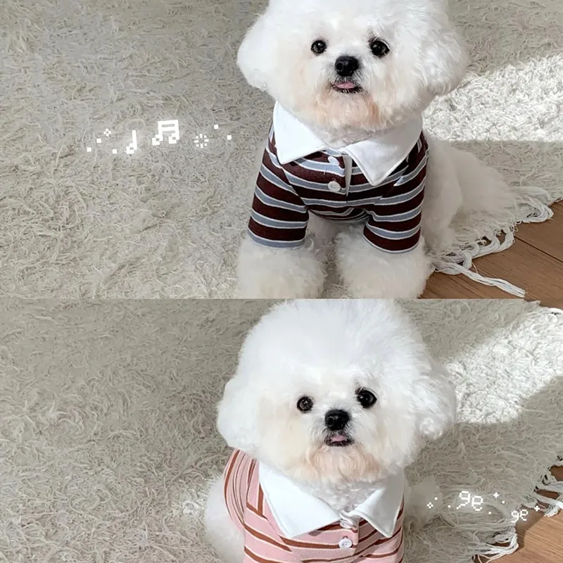 인스 폴로 칼라 테디 베스트 애완동물 스트라이프 의류 통기성 반팔 봄 여름 비숑 포메라니안 티셔츠