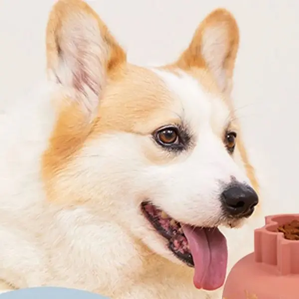 Pet Paradise Depot Store