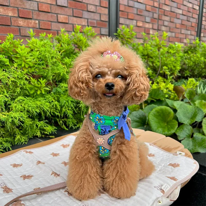 Pet Dog Maltese Teddy Vest Cotton Floral Bow Stand-up Collar Dress