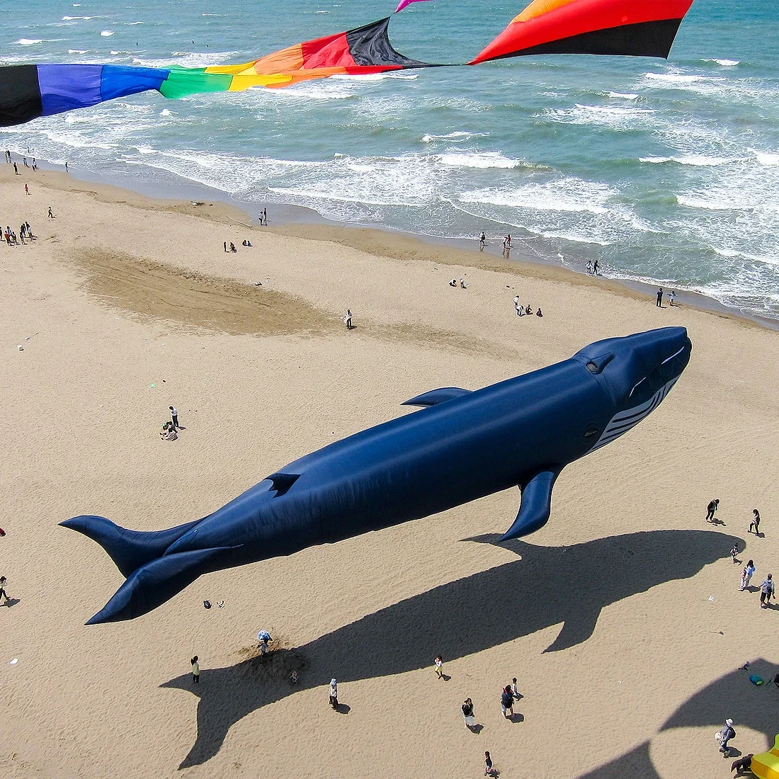 Free Delivery of 9M 30D Whale Soft Kite Beach Nylon Kite Competition Exhibition Kite Festival Easy to Fly and Tear Proof 5