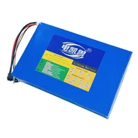 Batterie au Lithium 21700 60V 50Ah 45Ah 20Ah 25Ah 30Ah 35Ah 40Ah 15Ah, haute puissance 3000W pour moto et scooter électrique avec BMS 6