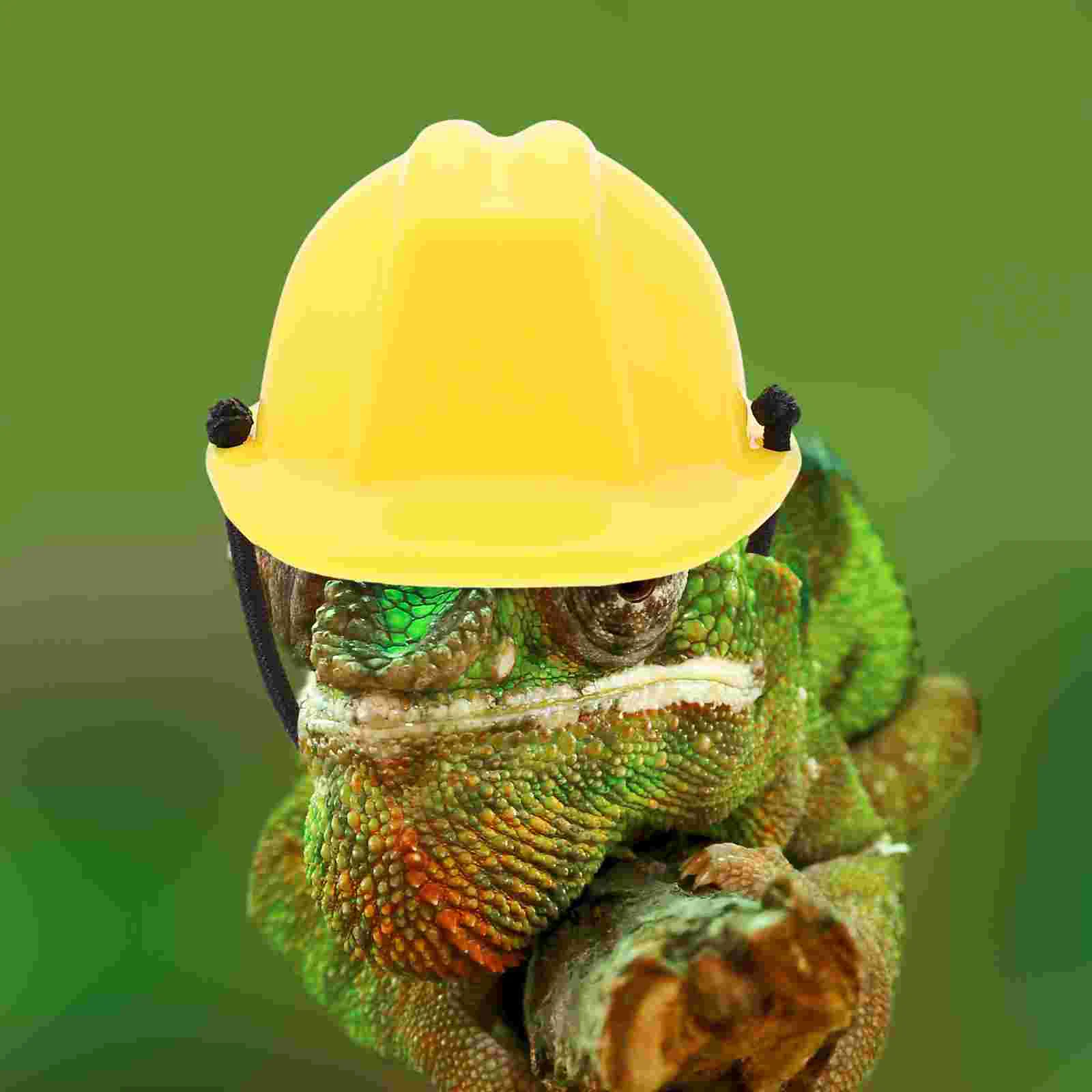

Bearded Dragon Hat Mini Pet Snake Hat Chin Strap Small Reptile Helmets Tiny Pet Hat Ball Python Clothing Diy Crafts Doll