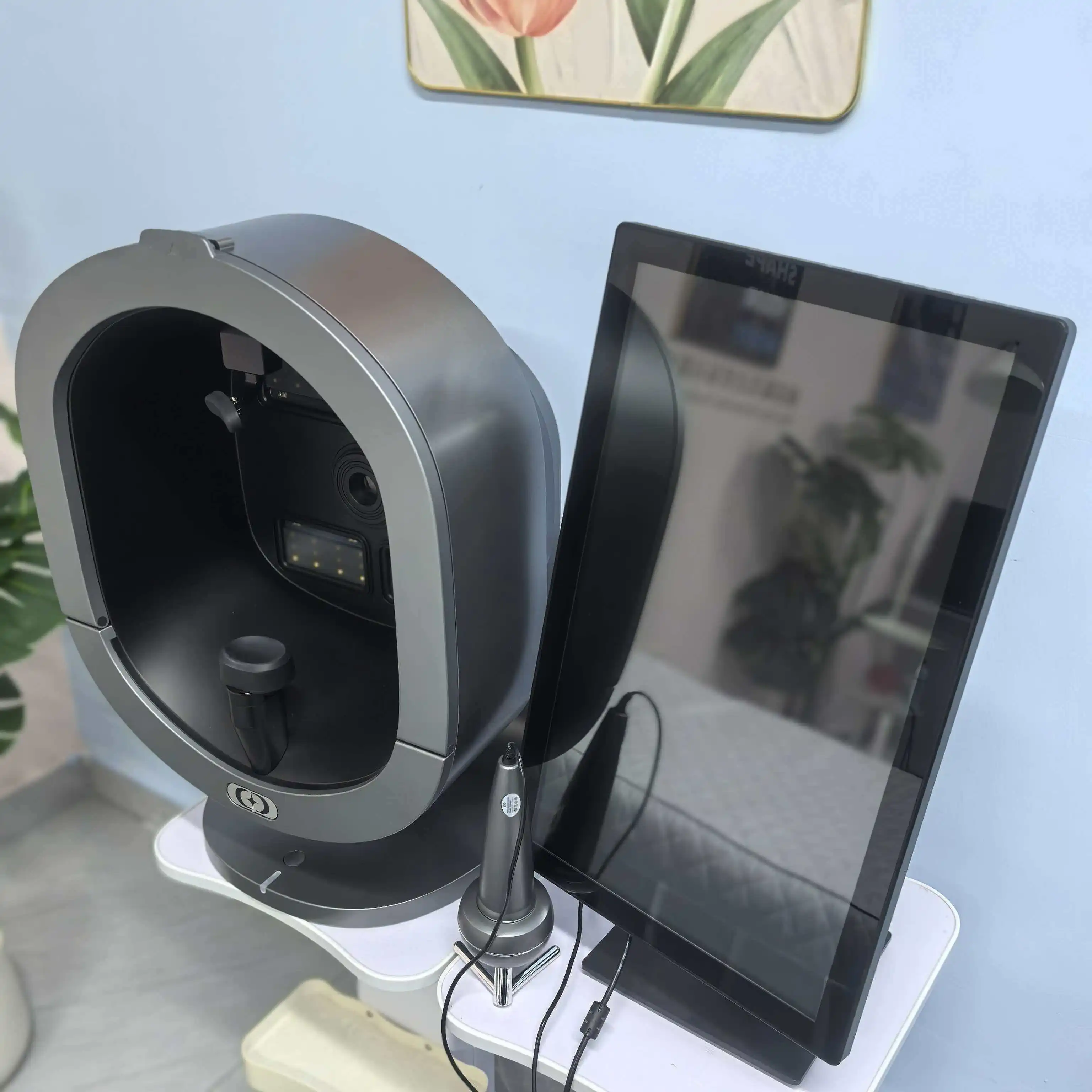 Analyseur de peau Intelligent AI, détecteur d'instrument d'image, miroir magique 3D, Machine d'analyse faciale numérique, dernier modèle