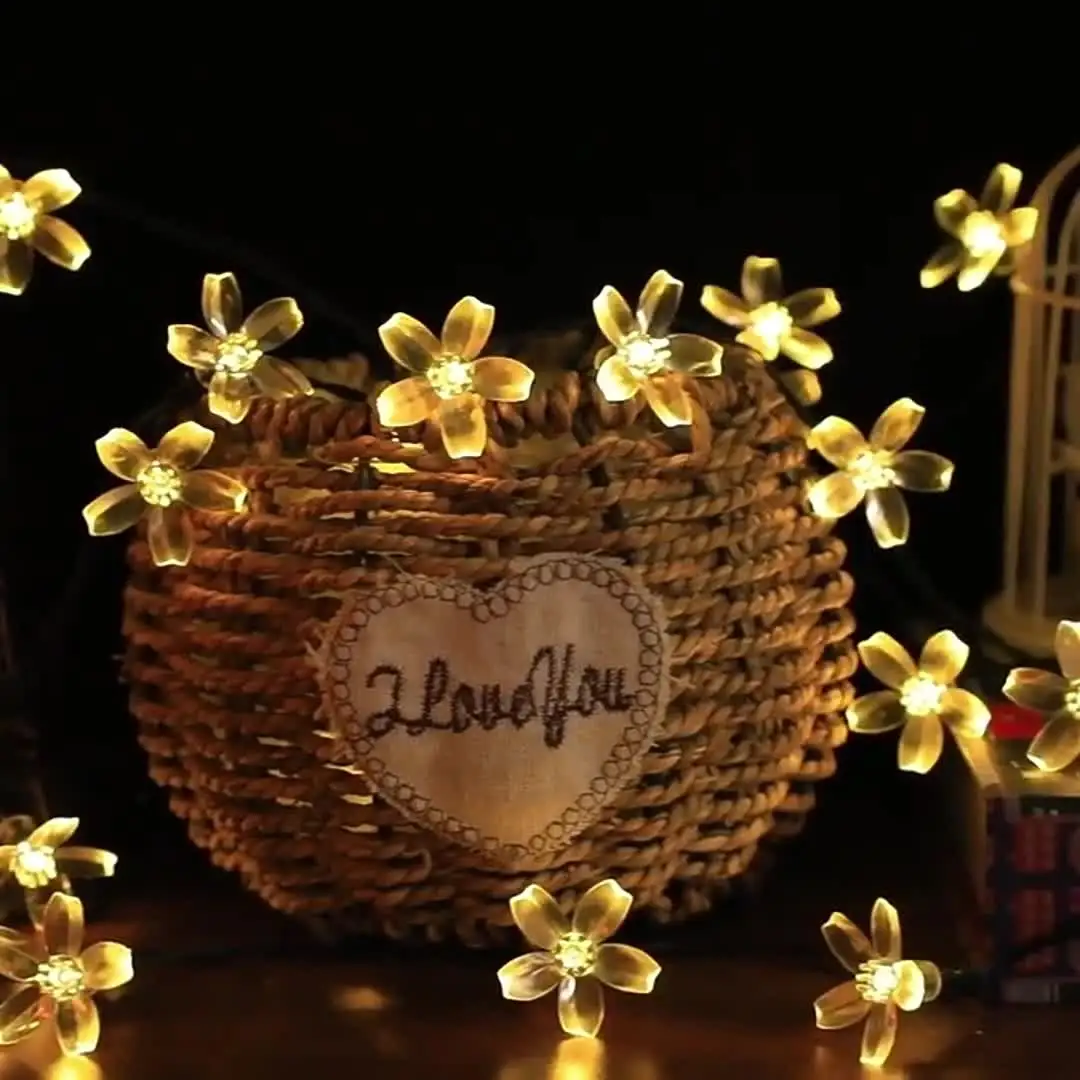 Solar Fairy Lights for Party & Wedding Decoration