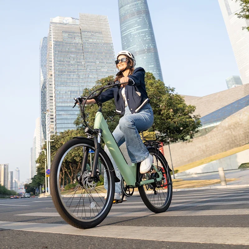 Urban Electric Bike V80 1000W 48V 13AH 7 speed Aluminum alloy 26 inches Removable battery Maximum speed 45km/h Family E-bike