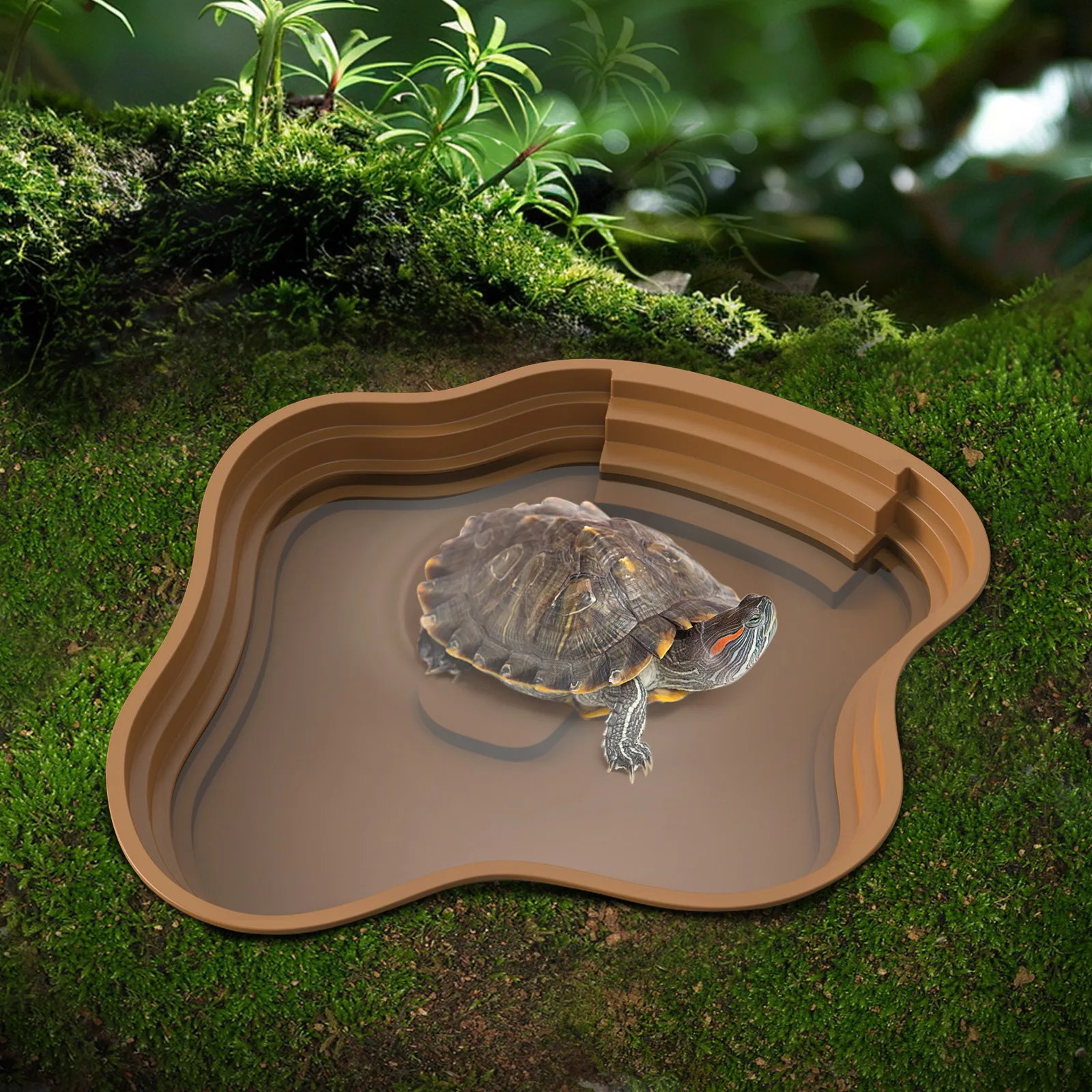 Turtle bathing basin, and frog bathing 3