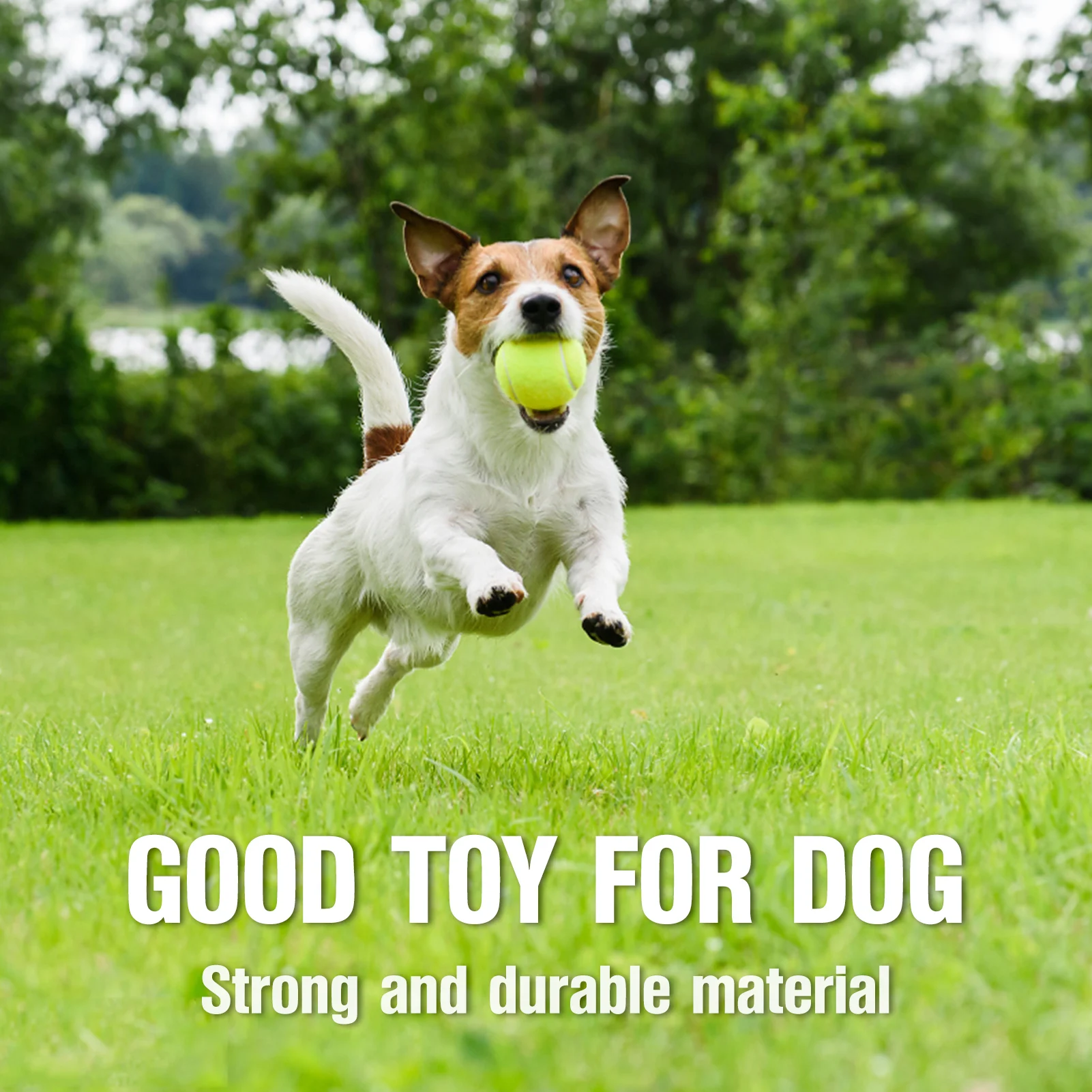 12 Pcs Outdoor Tennis Balls High Bounce Practice Training Elasticity Durable Tennis Pressure Matching Balls tennis balls