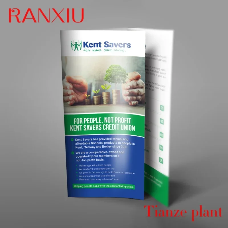 Рисунок 4 - Индивидуальная хорошо сложенная брошюра