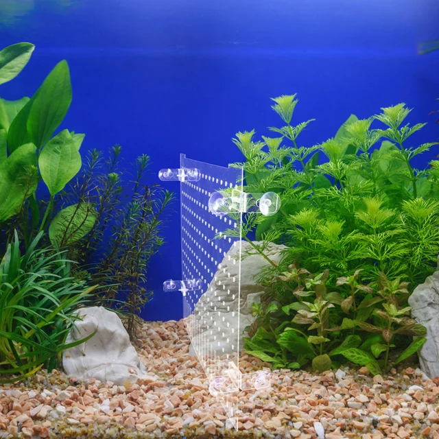 Divisorio Acquario In Acrilico 30x25cm Con Ventose - Separatore Trasparente Per Pesci | Isolamento E Sicurezza