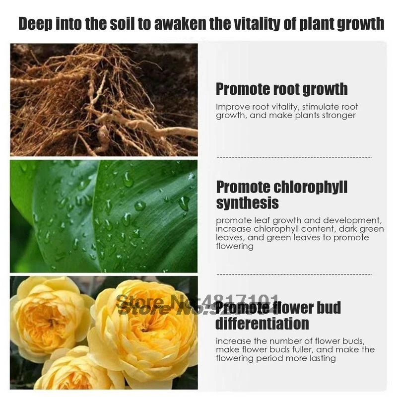 Slide image 4e2bee19e64f4096ab2f6280f0823896