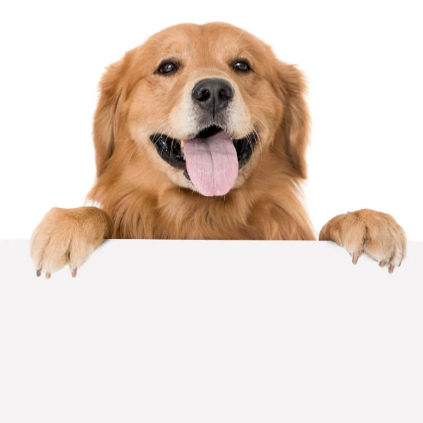 NuoNuoWell Pet Store