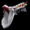 Cervical Vertebra Arteria Spine Spinal Nerves Anatomical Model Anatomy for Science Classroom Study Display Teaching Model 2