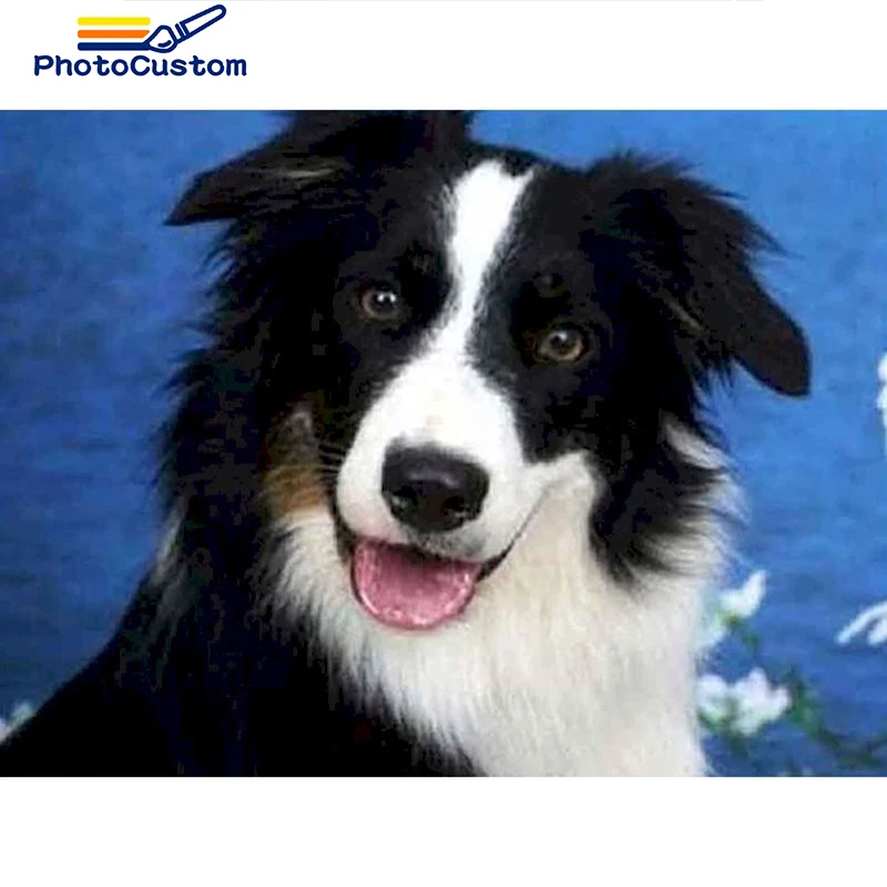 

Картина для алмазной вышивки «сделай сам»