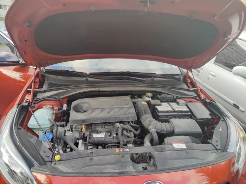 Front Bonnet Hood Gas Struts for Kia Ceed Cee'd XCeed III CD