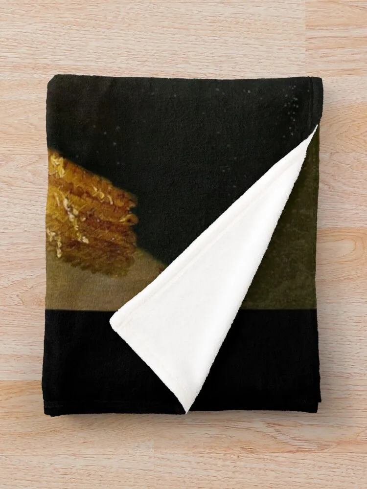 Nicolas ������ ��ü ������ ���, ���� ���, ���� ���� ���� ���