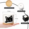Black Cat Patterned Ceramic Flowerpot with Tray for Home Office Decor Gift for Plant Lovers Family Friend (excluding Plants) 5