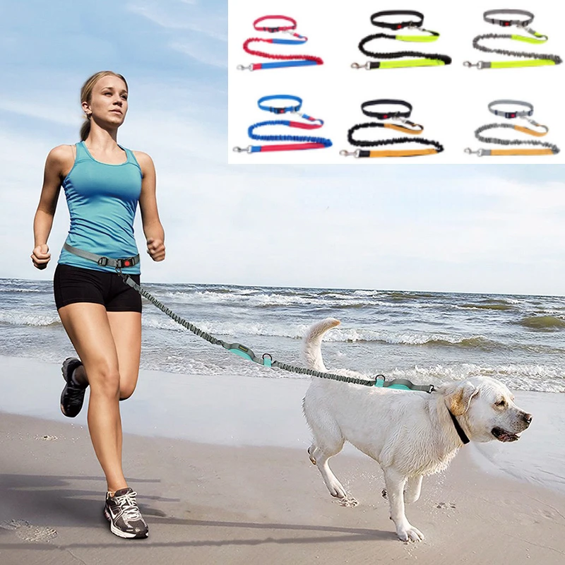 AdjustableHandFreeDogLeashforDogPetWalkingRunningJoggingDog