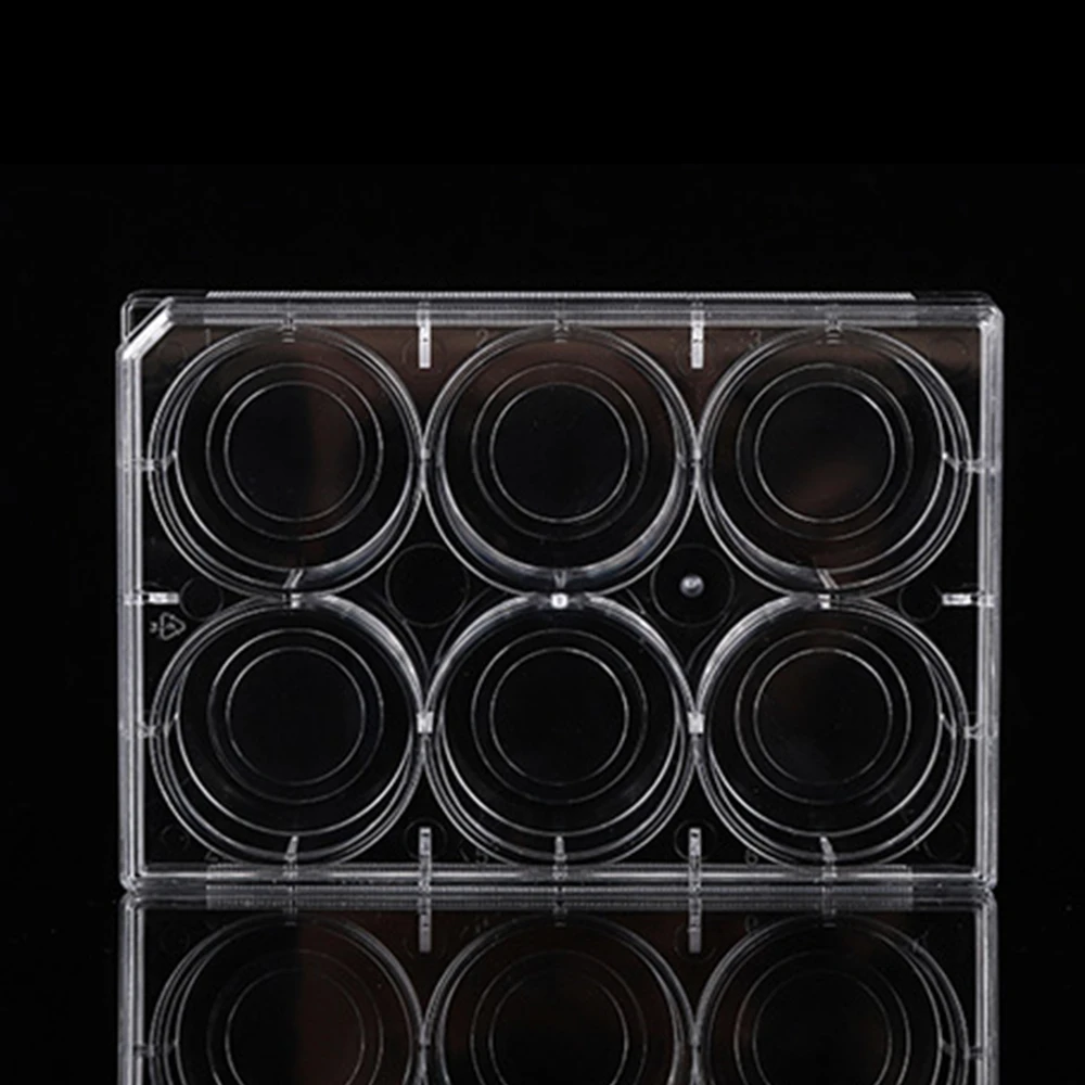 6 Well 24Wells Glass Bottom Cell Culture Plate 1/Pk
