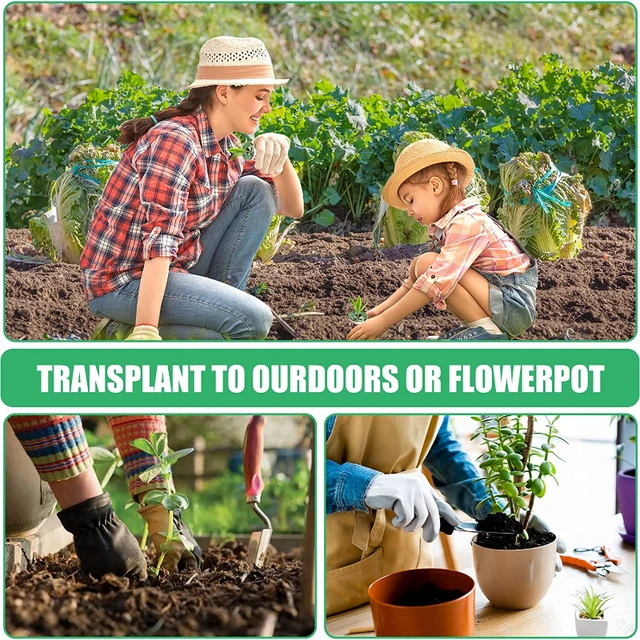 120Db/Készlet Ültetési Kosár Termesztése Szivacsok Szivacs Blokkok Az Aerogarden Növény-Hidroponika Számára, A Soilless Növekvő Rendszer Kertjéhez - Image 4