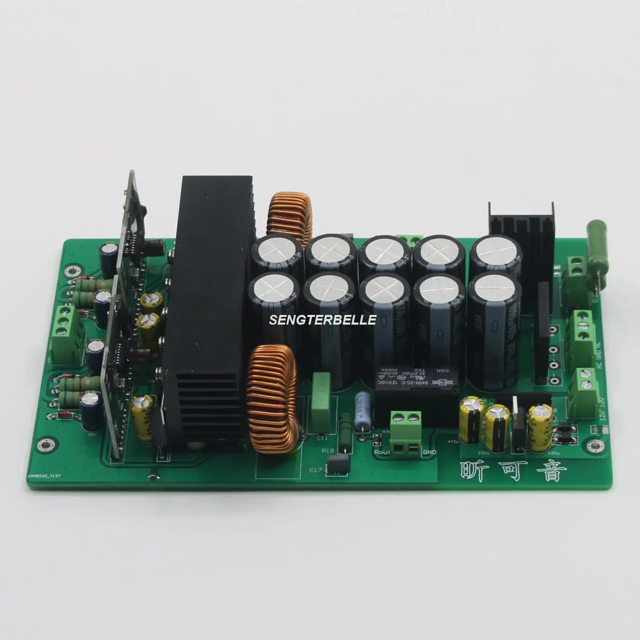 Assembled HiFi 500W Stereo UCD Class D Digital NC400 500 Power