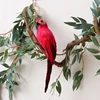 red-parrot