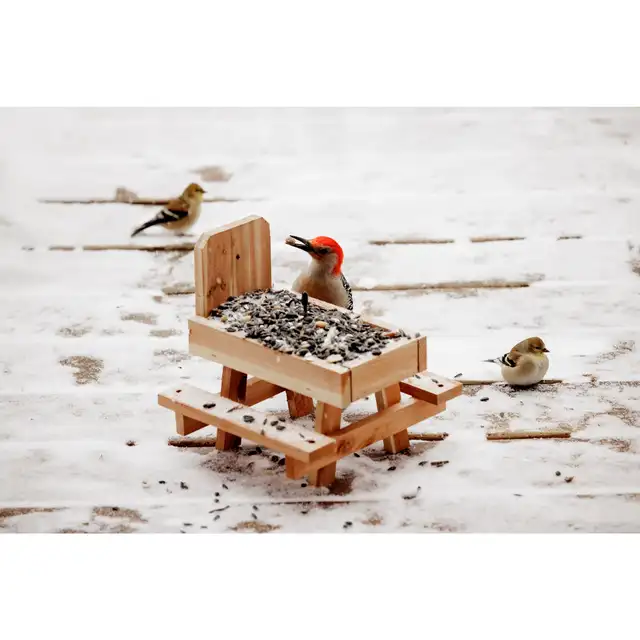 Red Cedar Picnic Table Squirrel Feeder, Holds Corn, Nuts and Seeds, 1 Table, 9"x10"x9"