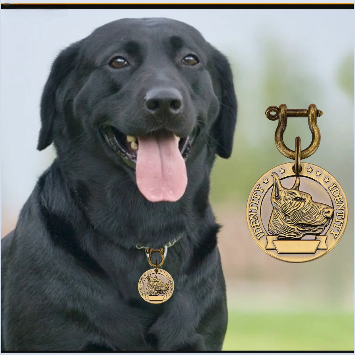 Pet id tags Customizable Engraved Pets ID for Dog Cat Bronze Nameplate Tags Personalized Number Dogs Collar ID Pendant