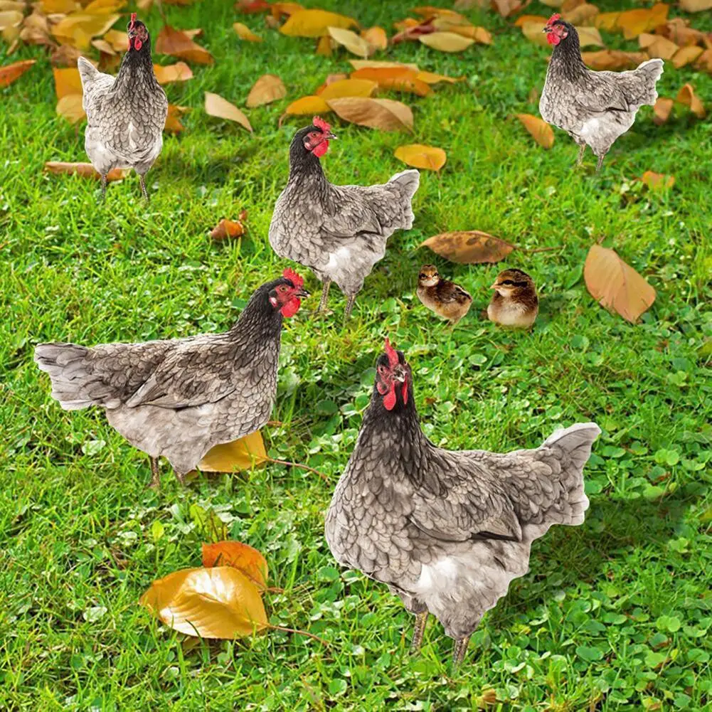 

Garden Chicken Statue Double-sided Printing Chicken Decor Interesting Rooster Decor Garden Statue Chicken Vibrant Color