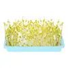 Plant Growing Trays Plant Tray Seedling Tray Propagation Tray Large Capacity Wheatgrass Grower Microgreens & Nursery Tray For 1