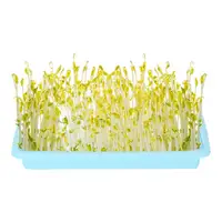 Plant Growing Trays Plant Tray Seedling Tray Propagation Tray Large Capacity Wheatgrass Grower Microgreens & Nursery Tray For 1