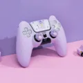 Bear Purple