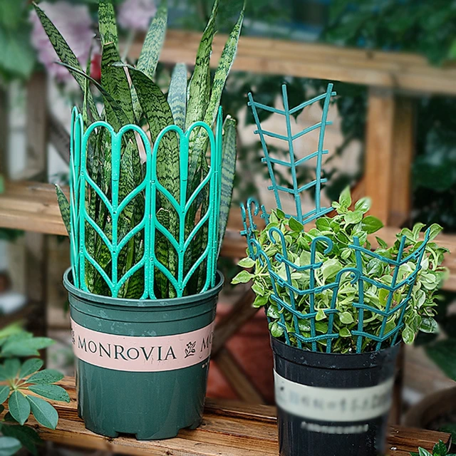 Növényi Hegymászás Kert Kerti Műanyag Ketrecek Támogató Virágtartó Vine Trellis Bracket Beltéri Cserepes Rögzítő Rúd Készletek