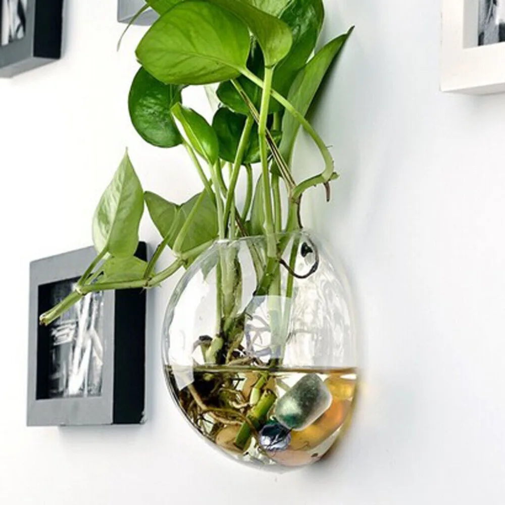 Ball Flower Pot Wall Hanging Planter Glass Hydroponic Vase Plant Wall Mounted Fish Tank Transparent Durable Sturdy Glass Bottles