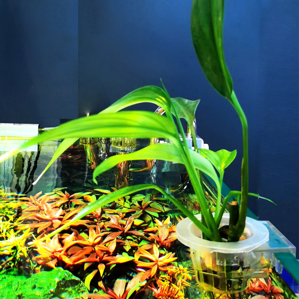 Title 5, 2Pcs Hanging Aquarium Plant Holder Adjustable F...