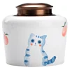 Three-dimensional Painted Ceramic Tea Cans Cute Cat Alloy Sealed Storage Jar Candy Coffee Storage Box Decoration Jar Home Decor 1