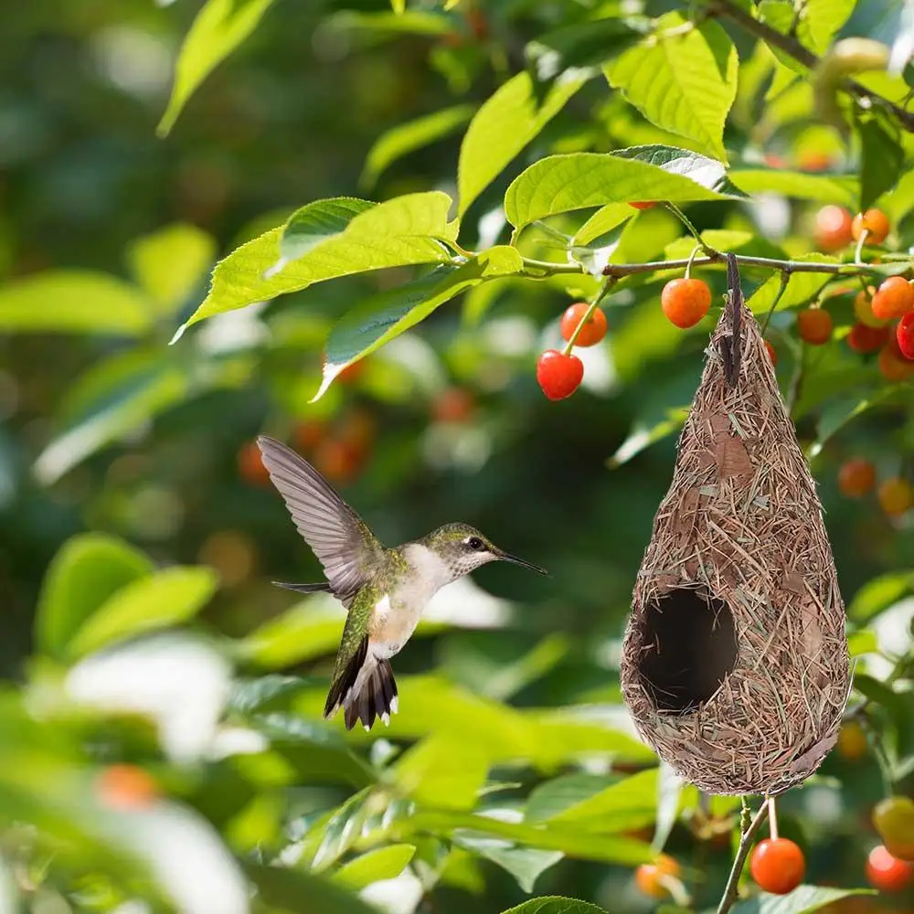 Bird house Bird nest 1/2PCS Bird House Natural Grass Hummingbird Bird Nest Fiber Hand-Woven Roosting Nest Hut for Yard Decoration